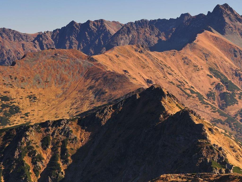 Country Home In Heart Of Tatra Mountains ザコパネ エクステリア 写真